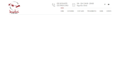 Desktop Screenshot of medici.com.br